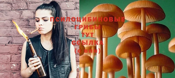 каннабис Белокуриха