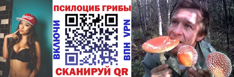 Псилоцибиновые грибы Magic Shrooms  как найти закладки  нарко площадка Telegram  Острогожск 