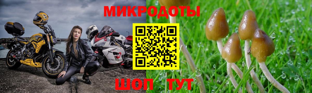 Острогожск  Галлюциногенные грибы мухоморы  Вход с VPN 