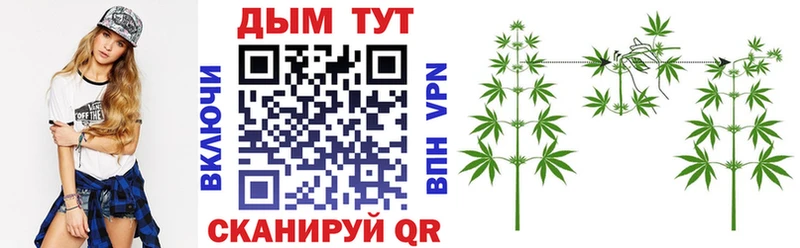 ссылка на мегу маркетплейс  Острогожск  Шишки марихуана SATIVA & INDICA 